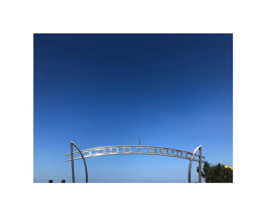 IMG_8954.jpg?type=w966