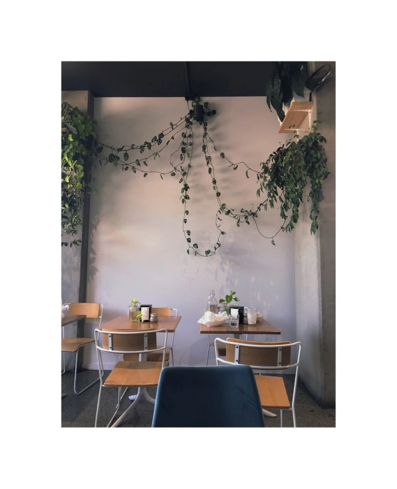 IMG_8262.jpg?type=w773