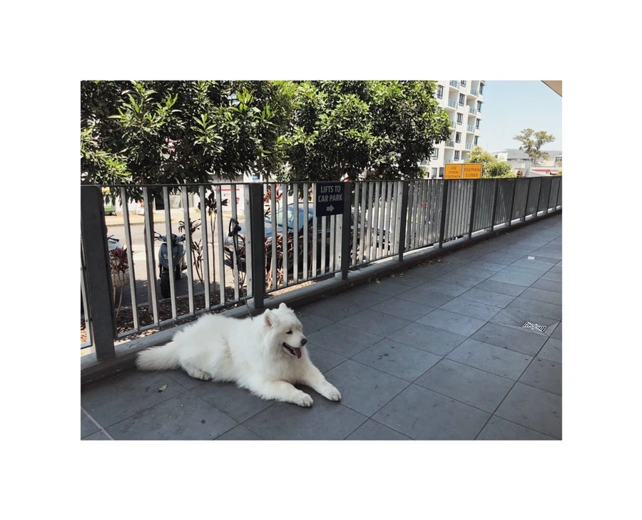 IMG_0676.jpg?type=w966