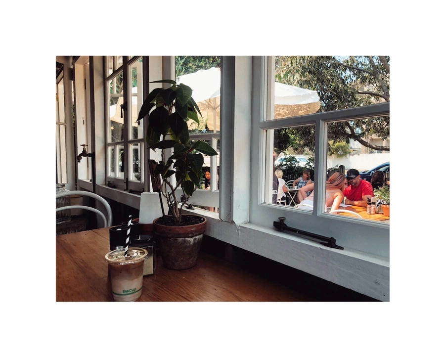 IMG_9749.jpg?type=w966