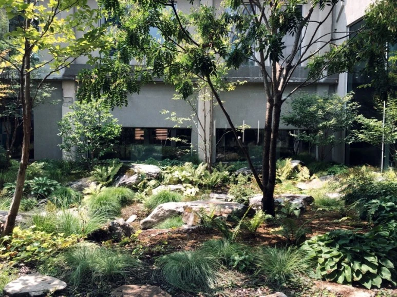 IMG_9184.jpg?type=w773