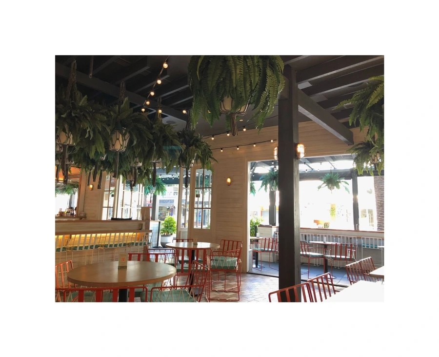 IMG_8982.jpg?type=w966