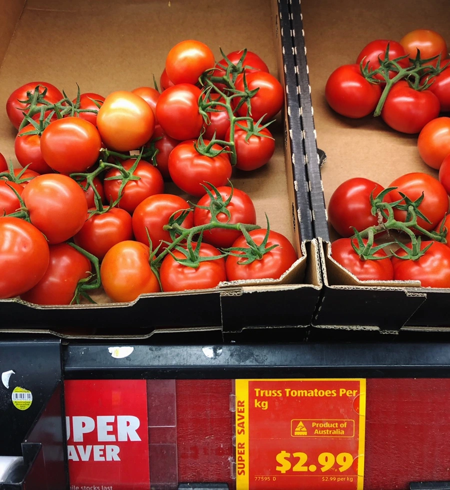 IMG_7733.jpg?type=w966