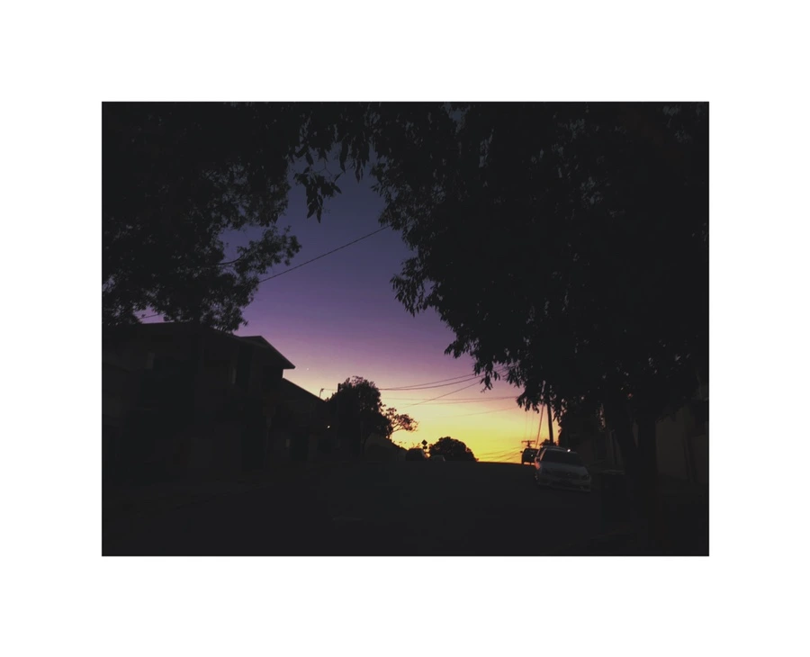 IMG_6003.jpg?type=w966