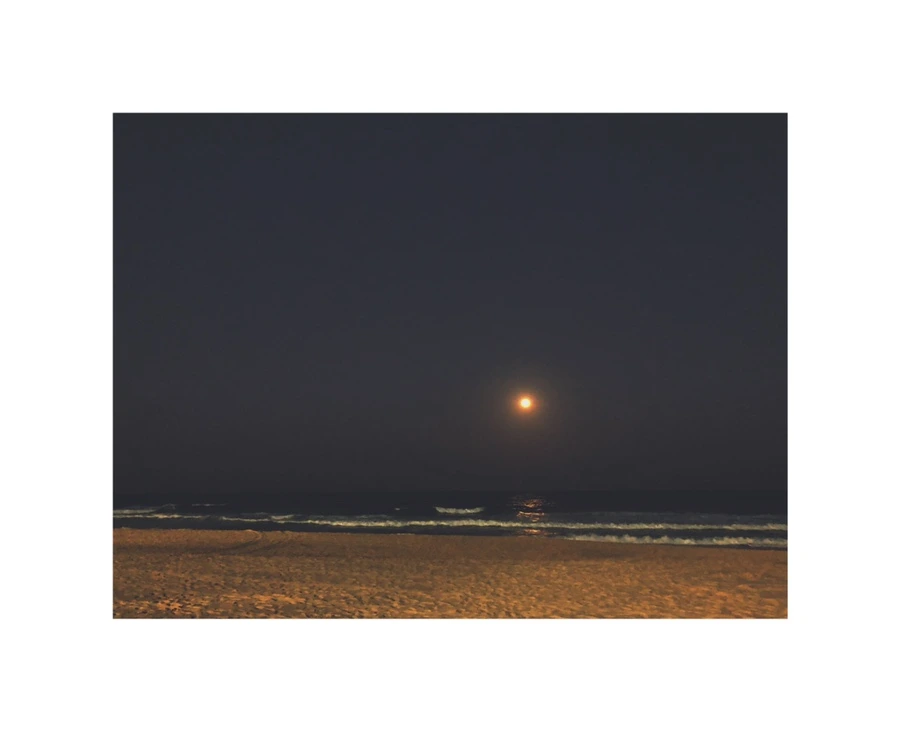 IMG_9013.JPG?type=w966