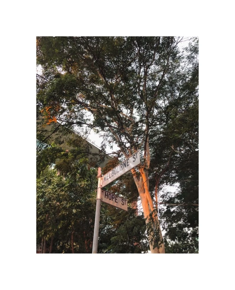 IMG_8213.jpg?type=w773