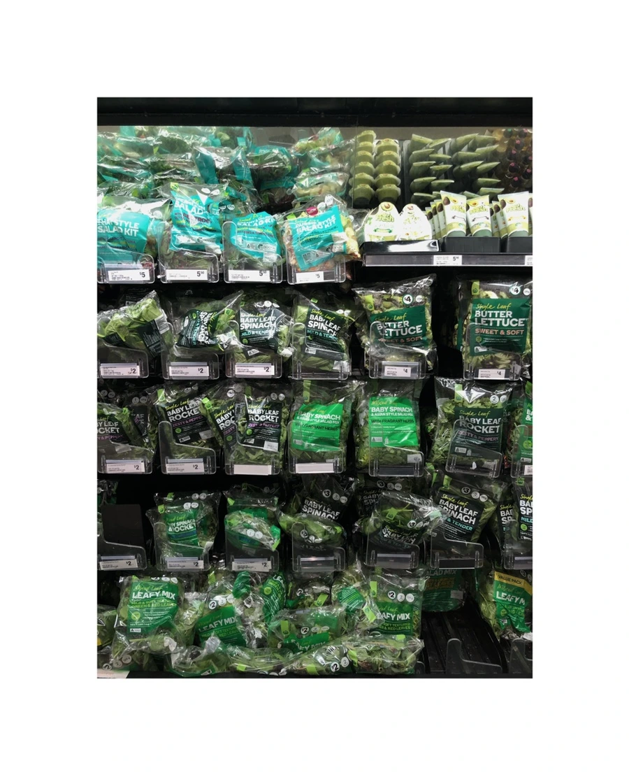 IMG_5934.jpg?type=w966