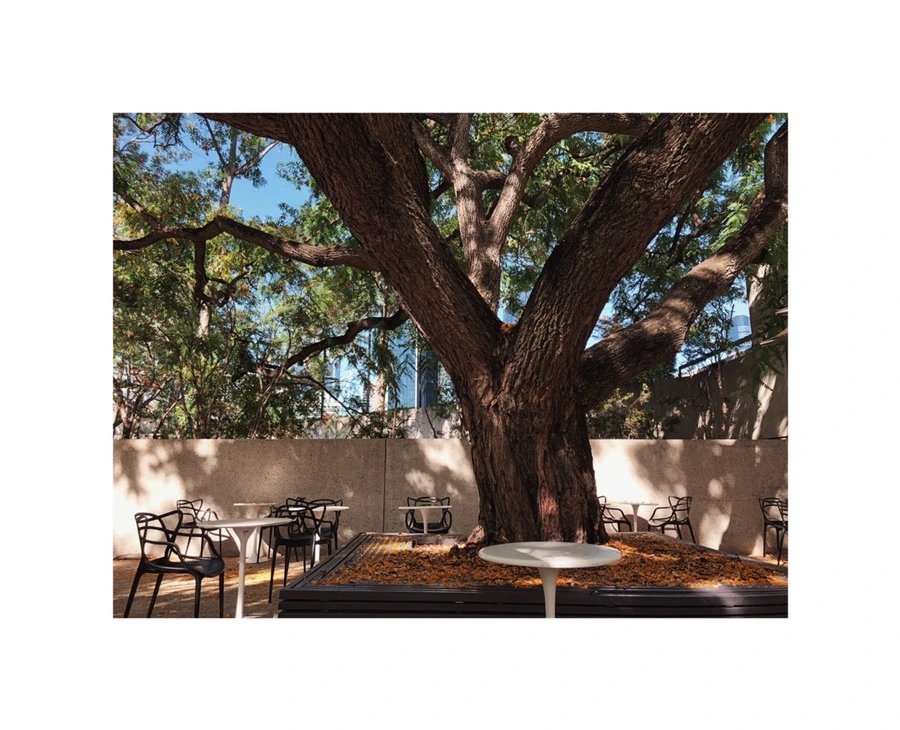 IMG_0705.jpg?type=w966