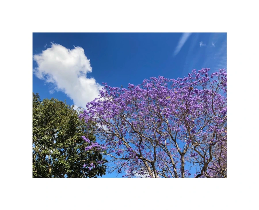 IMG_7024.jpg?type=w966