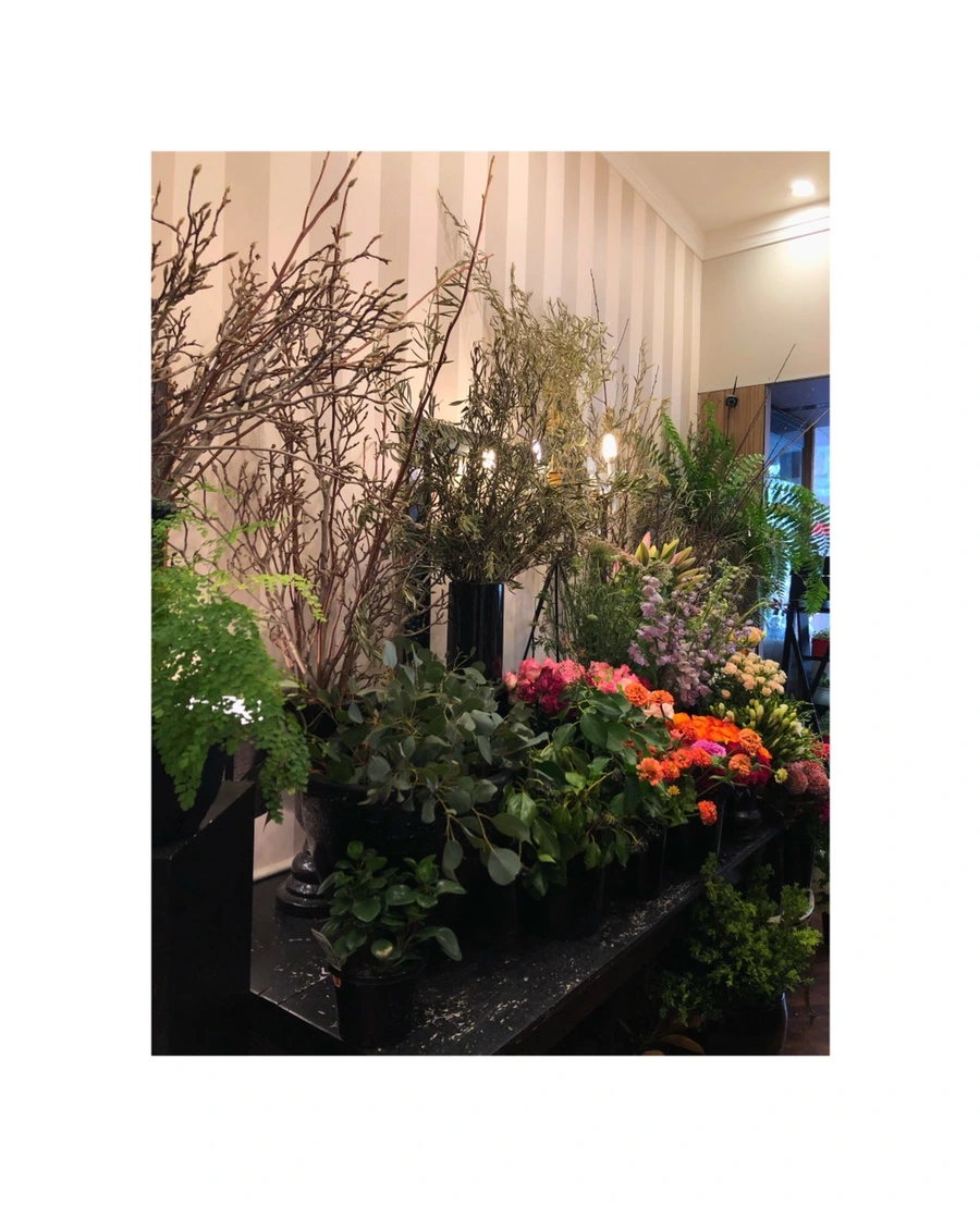 IMG_5964.jpg?type=w966