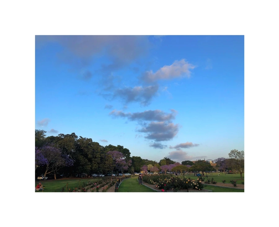 IMG_6595.jpg?type=w966