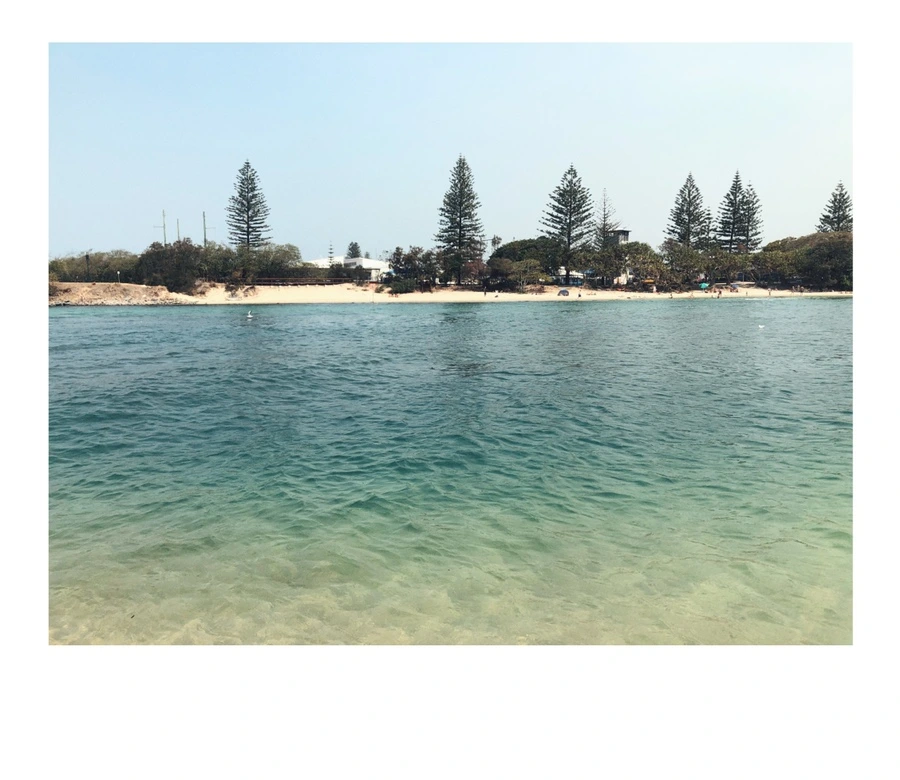 IMG_0094.jpg?type=w966