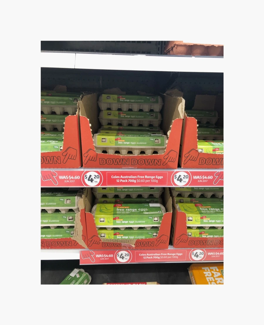 IMG_5822.jpg?type=w966