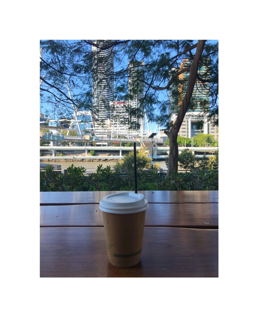 IMG_6052.JPG?type=w966