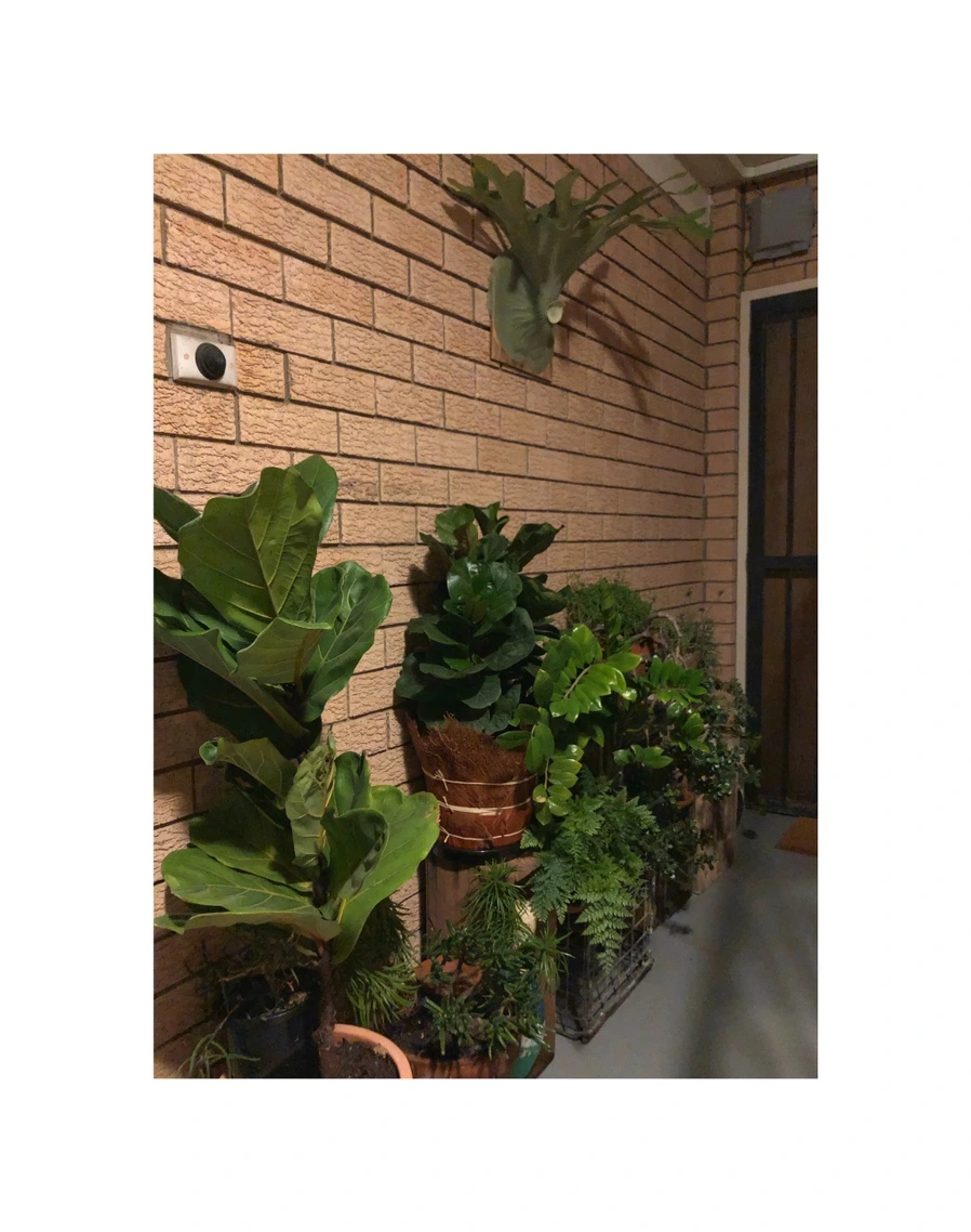 IMG_6217.jpg?type=w966