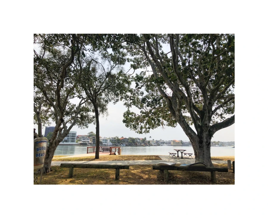 IMG_9172.jpg?type=w966