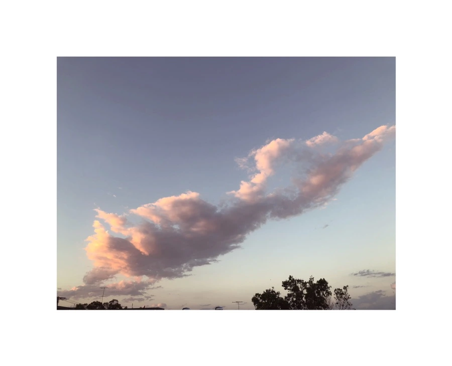 IMG_7586.jpg?type=w966