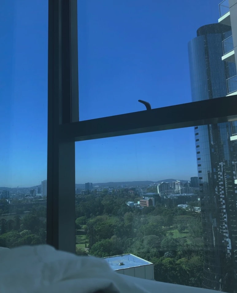 IMG_8243.jpg?type=w773