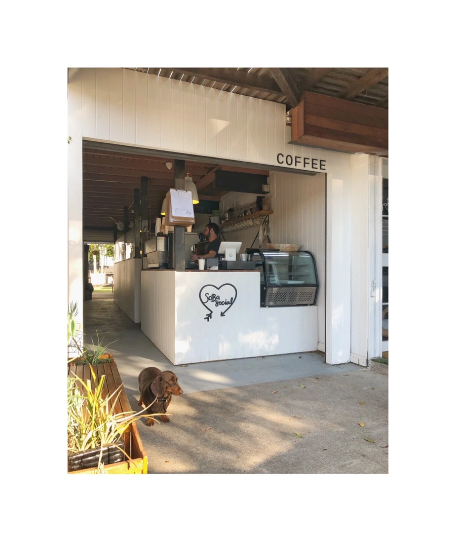 IMG_6018.jpg?type=w966