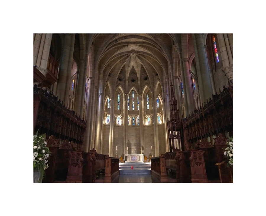 IMG_7157.jpg?type=w966