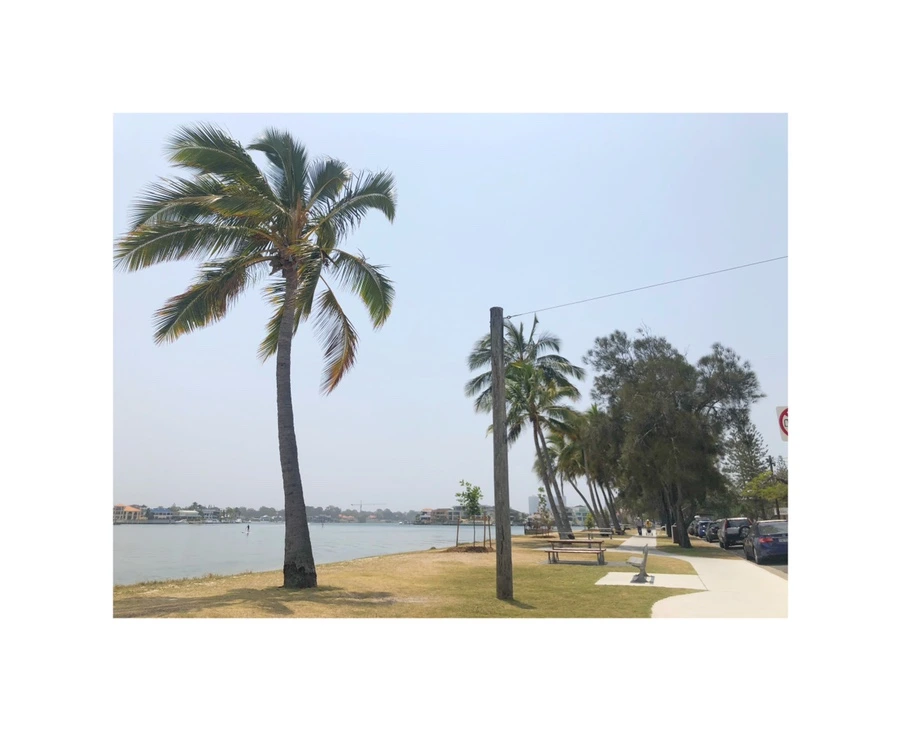 IMG_9106.jpg?type=w966