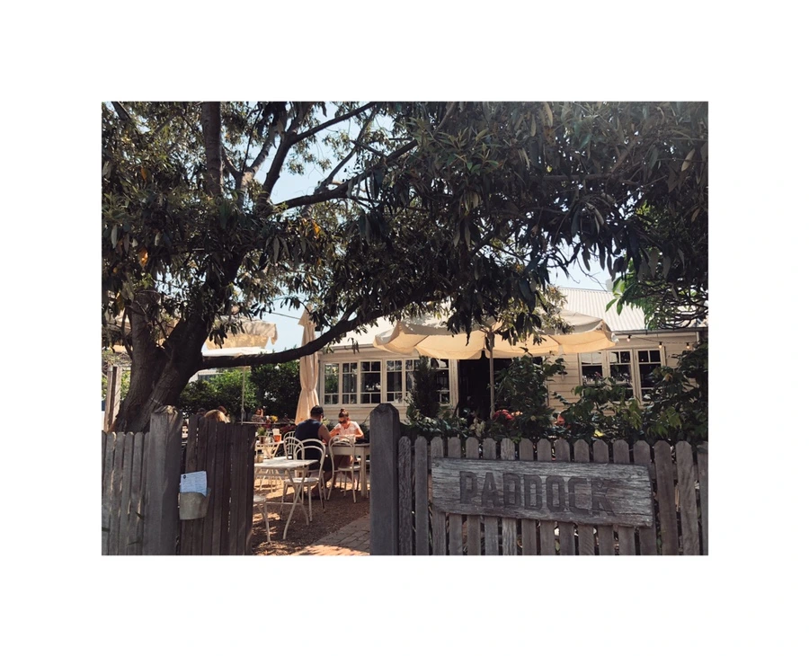 IMG_9780.jpg?type=w966