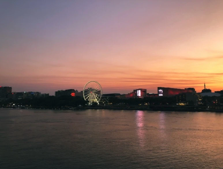 IMG_8494.jpg?type=w773