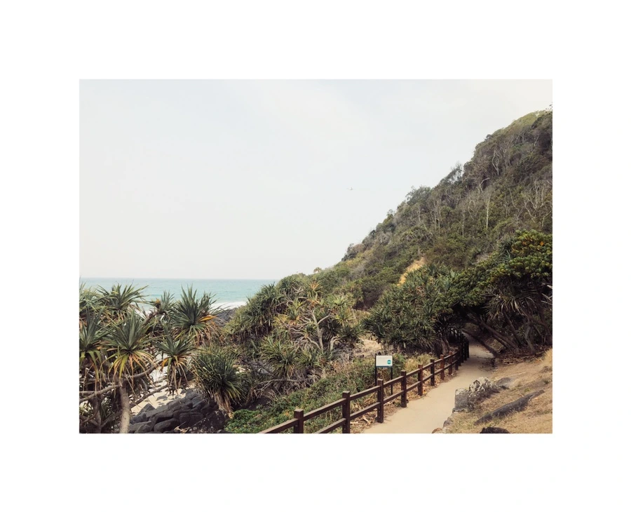 IMG_9194.jpg?type=w966