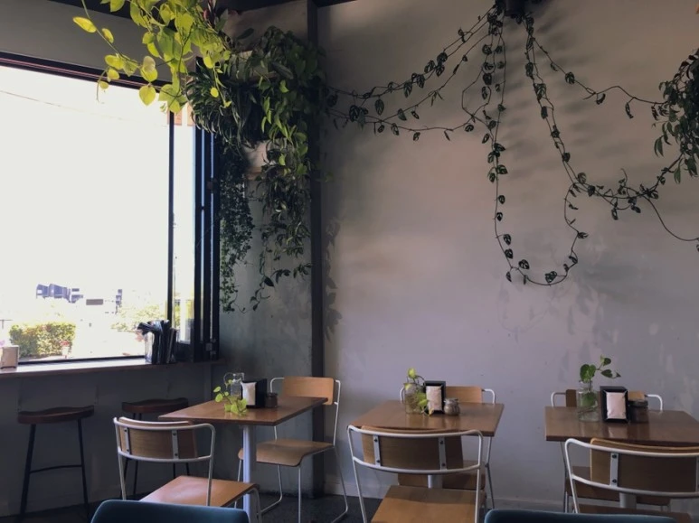 IMG_8268.jpg?type=w773