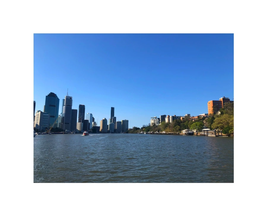 IMG_6058.jpg?type=w966