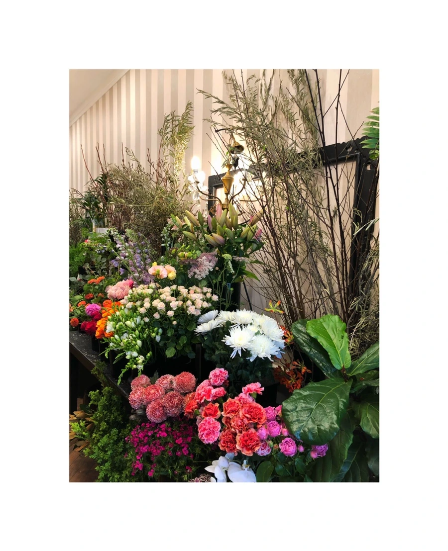 IMG_5965.jpg?type=w966