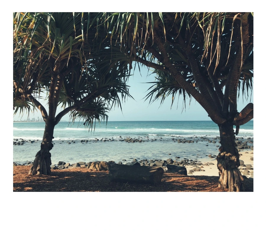 IMG_9839.jpg?type=w966