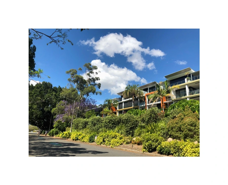 IMG_7021.jpg?type=w966