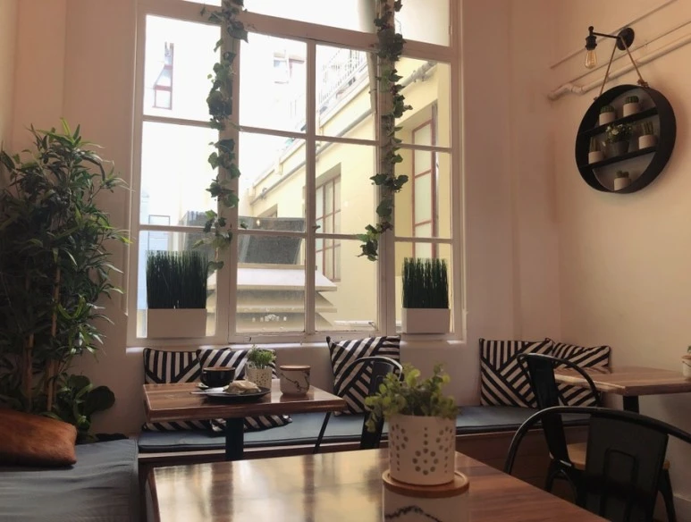 IMG_8148.jpg?type=w773