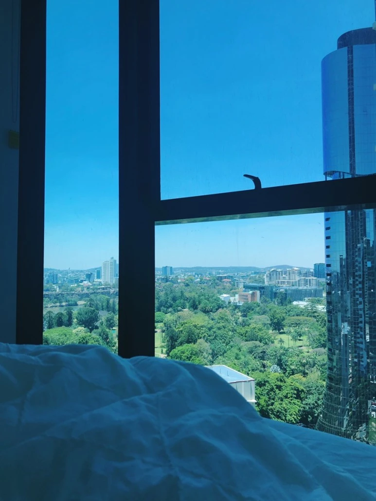 IMG_7924.jpg?type=w773