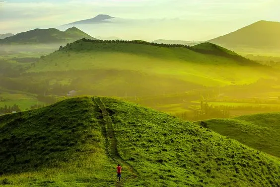 %ED%99%A9%EB%94%B1TV2.jpg?type=w1