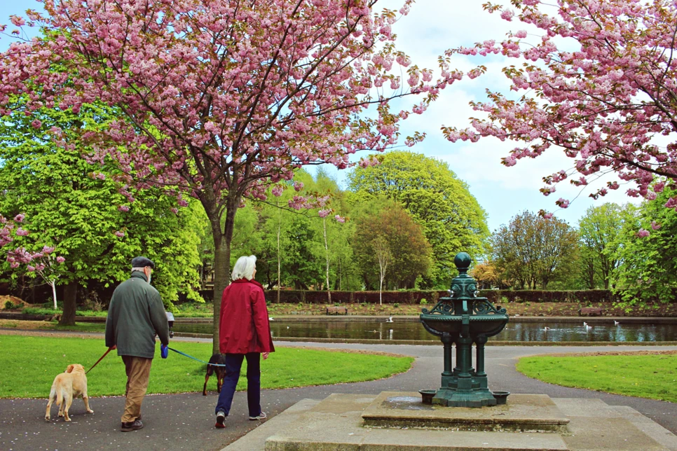 editIMG_1052.png?type=w966