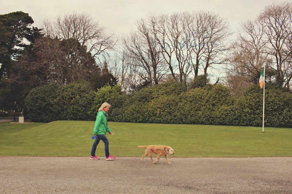 editIMG_8104.png?type=w966