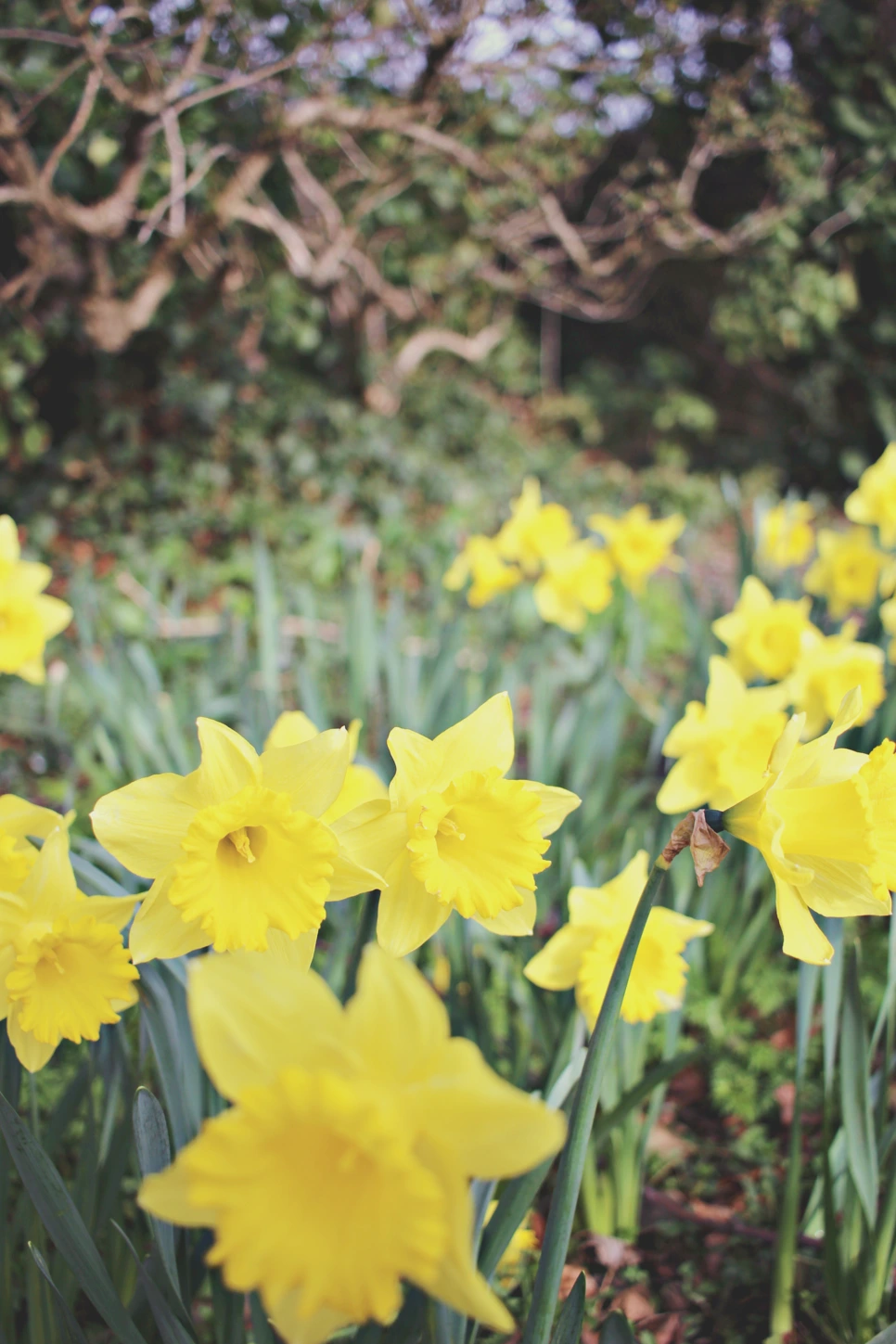 editIMG_8206.png?type=w966