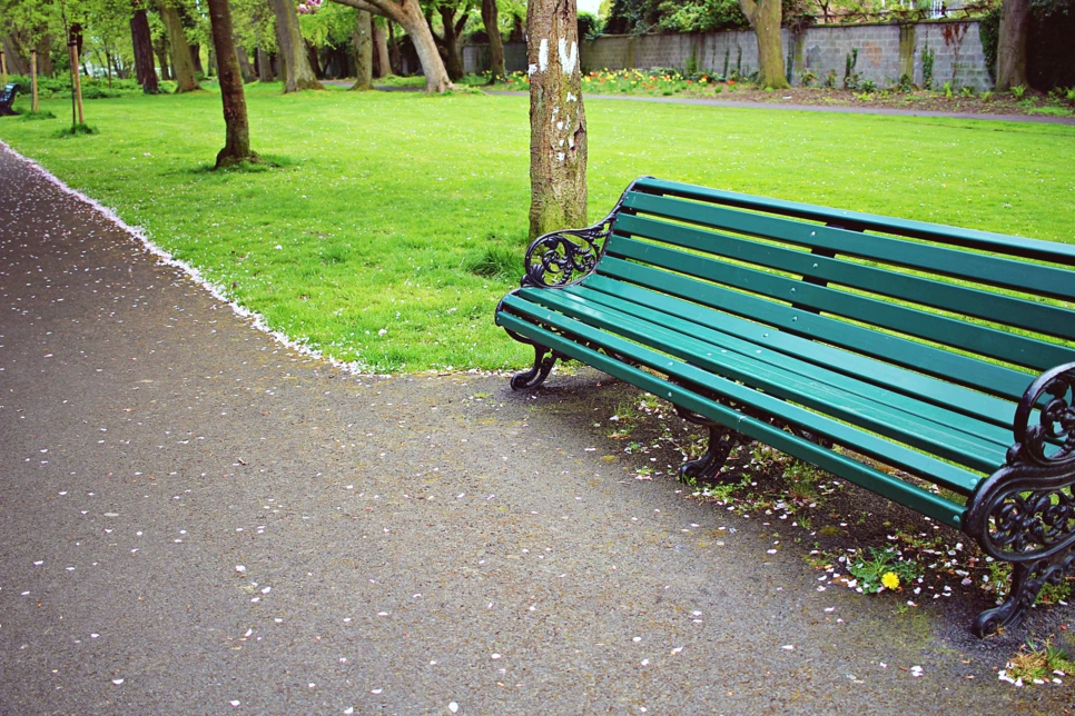 editIMG_0993.png?type=w966