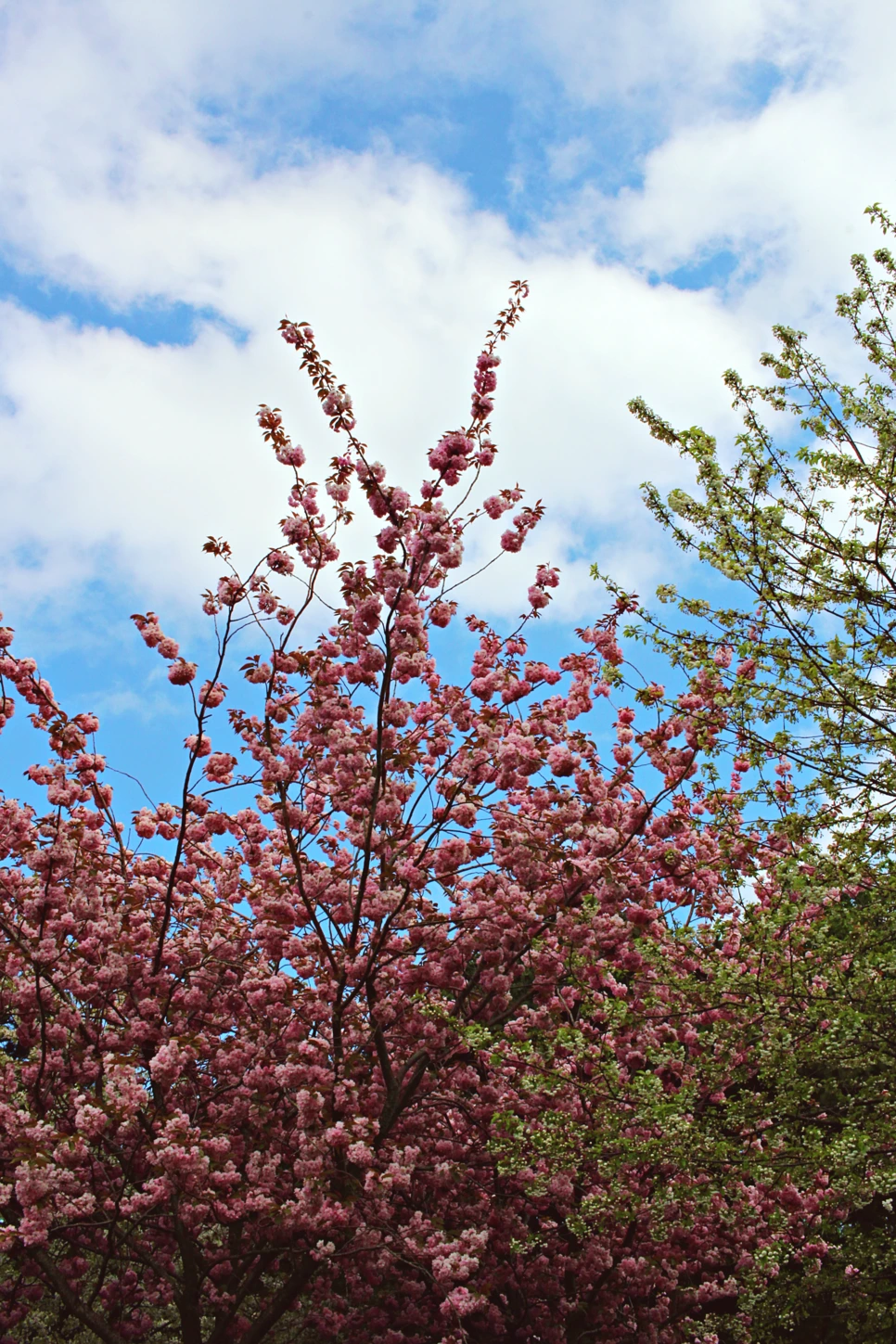 editIMG_1022.png?type=w966