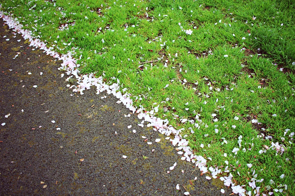 editIMG_0998.png?type=w966