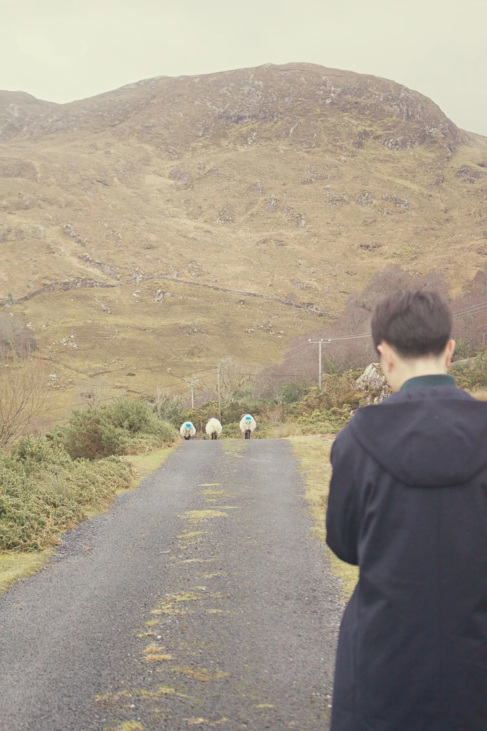 image_2070019551519776079884.jpg?type=w966