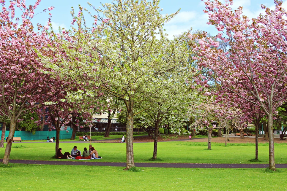 editIMG_1080.png?type=w966