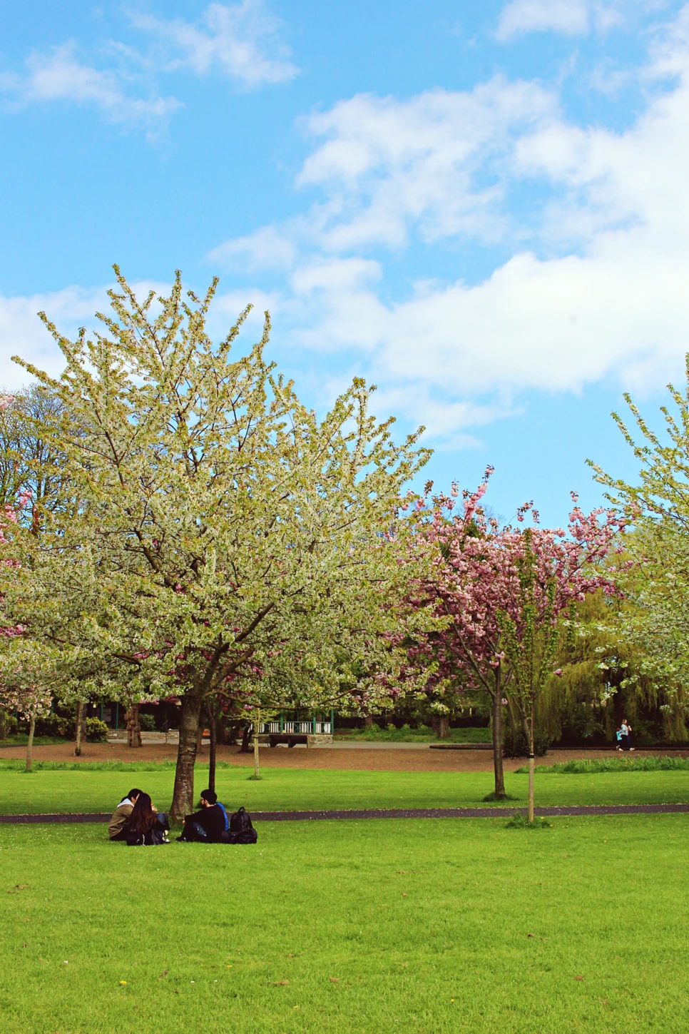 editIMG_1079.png?type=w966