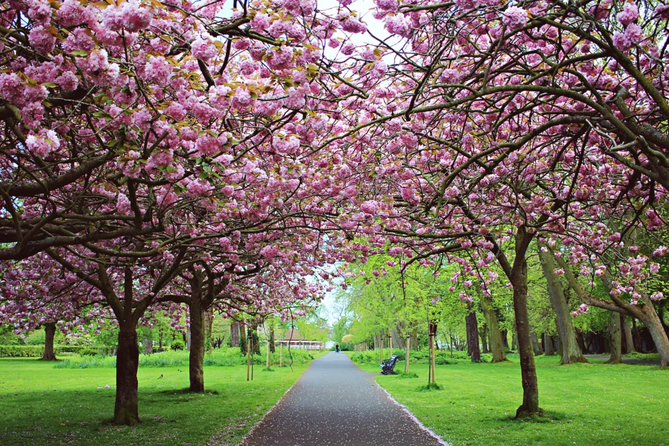 image_7374047131526804570311.png?type=w966