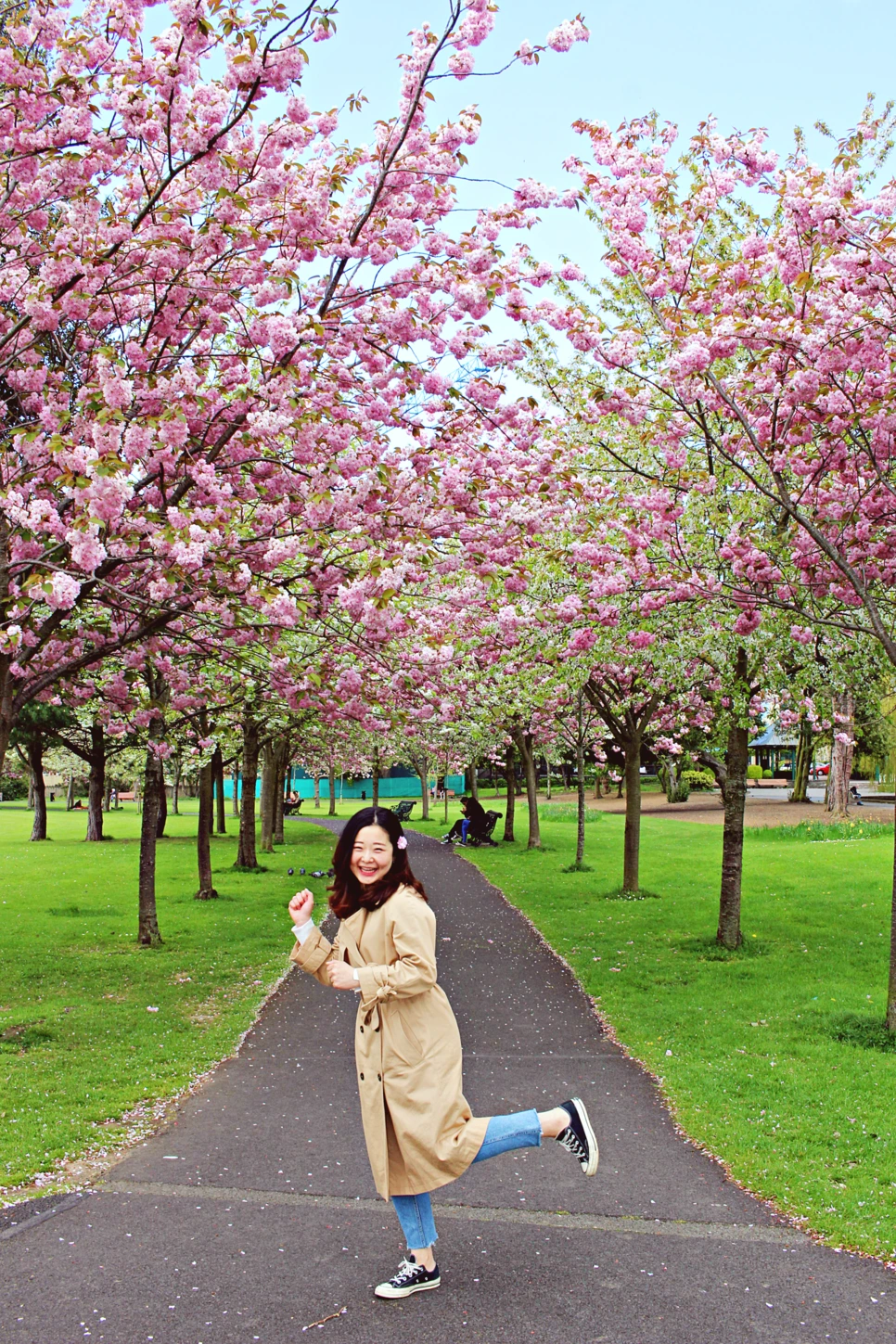 editIMG_1054.png?type=w966