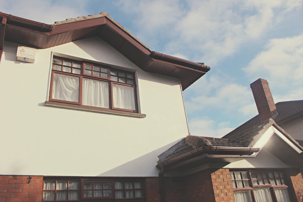 IMG_5254.png?type=w966