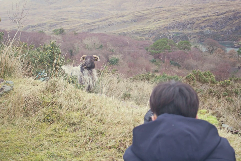 jpgIMG_5481_2.jpg?type=w966