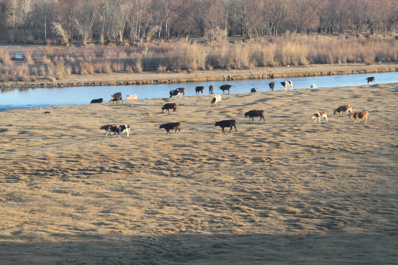 몽골벌판을 지나며 국제열차안에서.JPG